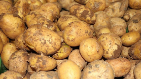 Ticaret Bakanlığından patates fiyatlarına ilişkin açıklama