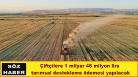 Çiftçilere tarımsal destekleme ödemesi yapılacak
