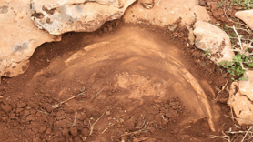 Diyarbakır'da yüz milyonlarca yıl önceye ait fosiller bulundu