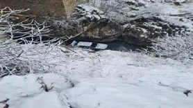 Sinek Çayı'na düşen otomobildeki 3 kişi yaralandı