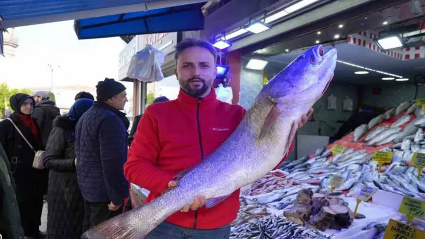 120 santimlik dev minekop avlandı