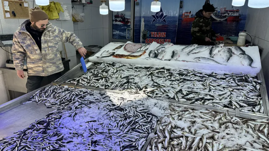 Hava muhalefeti balık avcılığını ve fiyatları olumsuz etkiliyor