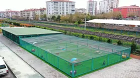 Kayseri'deki Küçük Dostlar Kedi Kasabası