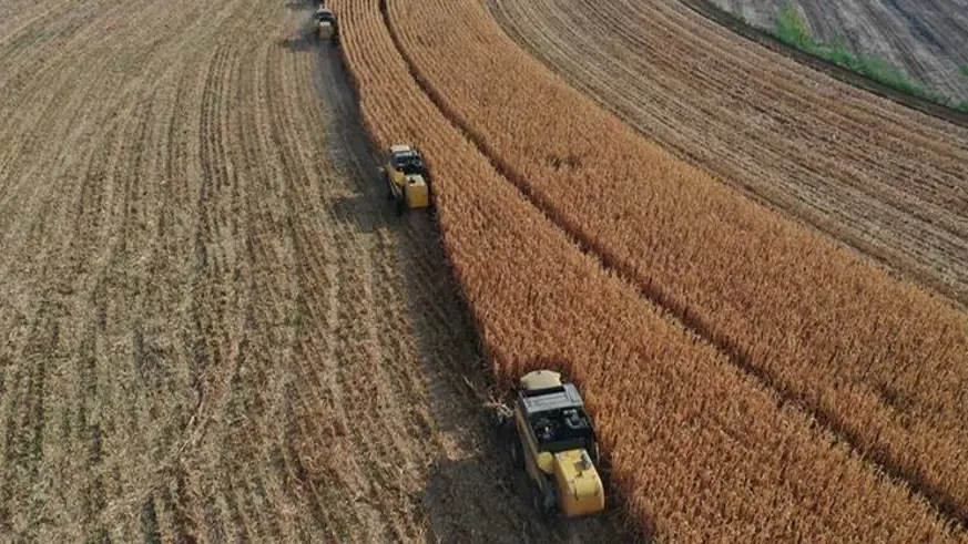 Çiftçilere destek ödemeleri yapılacak