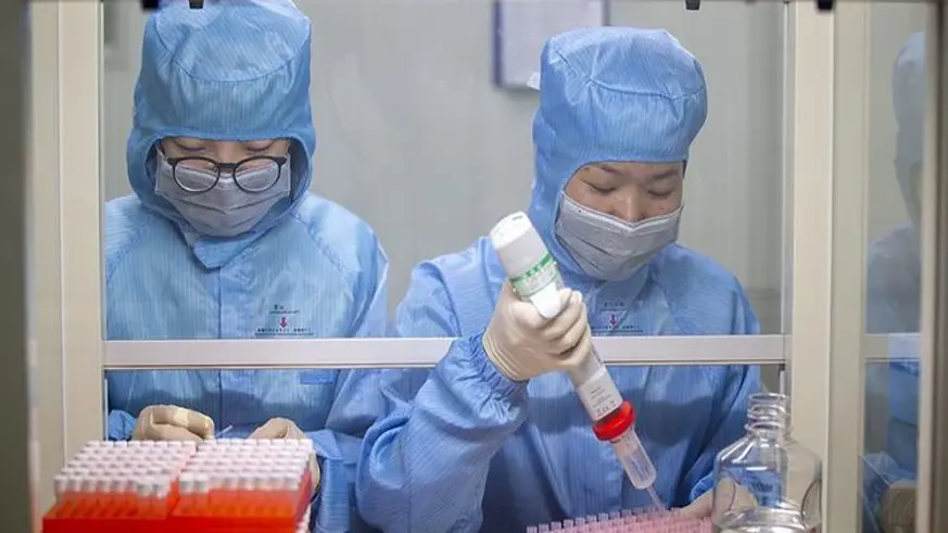 Çinli araştırmacılar, yeni tip koronavirüs keşfetti