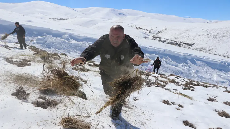 Doğudaki 8 ilde yaban hayvanları için 14 tondan fazla yem dağıtıldı