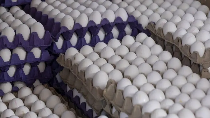 Sofralık yumurta ihracatında fon kesintisi artırıldı