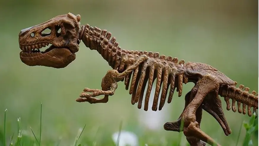 Araştırmacılar yeni dinozor türü keşfetti