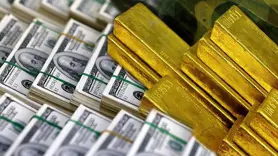 Merkez Bankası rezervleri