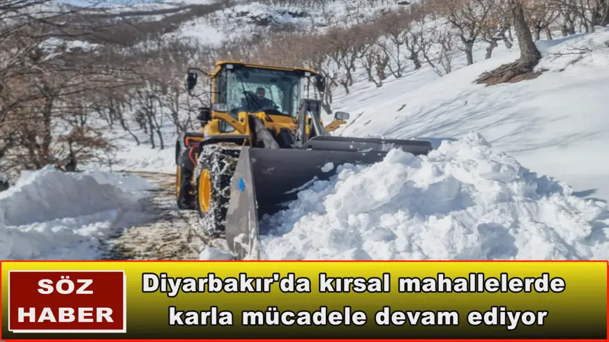 Diyarbakır'da kırsal mahallelerde  karla mücadele devam ediyor