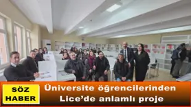 Üniversite öğrencilerinden Lice’de anlamlı proje