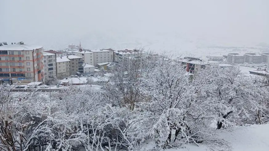 Kulp'ta beyaz esaret devam ediyor