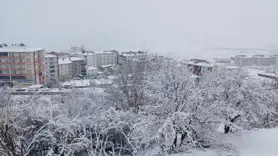 Kulp'ta beyaz esaret devam ediyor