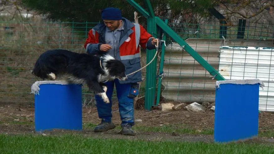 Çobanlara hareketli ve heyecanlı yeni bir yardımcı geliyor