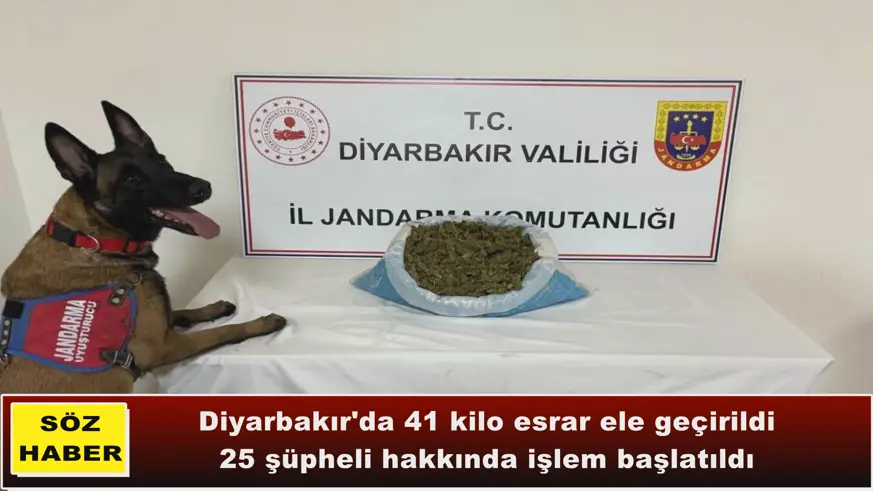 Diyarbakır'da 41 kilo esrar ele geçirildi