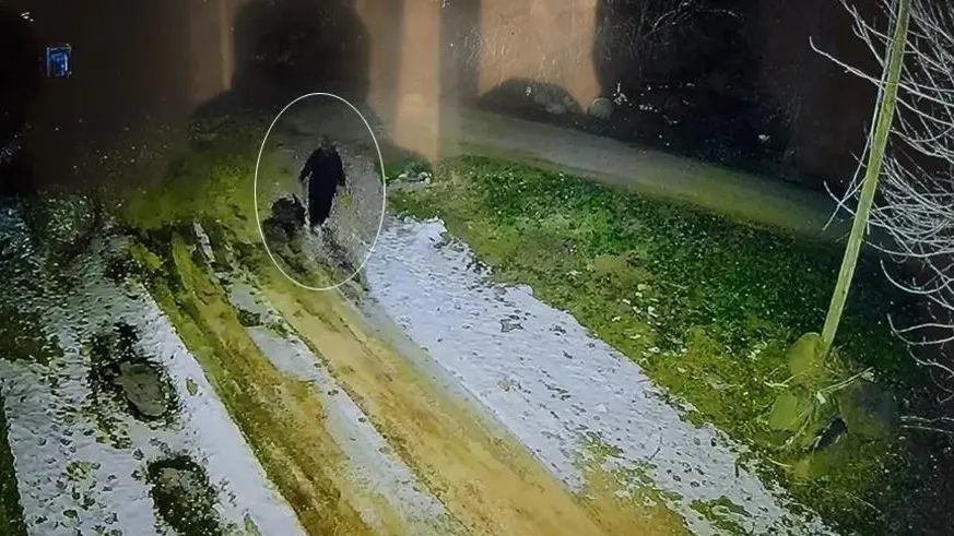 Diyarbakır'da kayıp kadının son görüntüsü ortaya çıktı