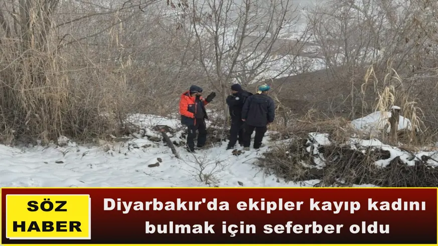 Diyarbakır'da ekipler kayıp kadını  bulmak için seferber oldu