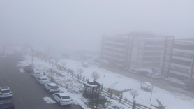 Kulp ilçesinde yoğun sis etkili oldu