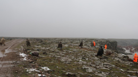 45 yaşındaki kadın için 100 kilometreden  fazla alan yaya olarak tarandı