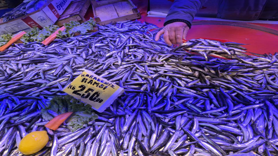 Balık tezgahlarının gözdesi sardalya oldu