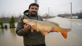 Vatandaşlar tarlasında canlı sazan balığı yakaladı