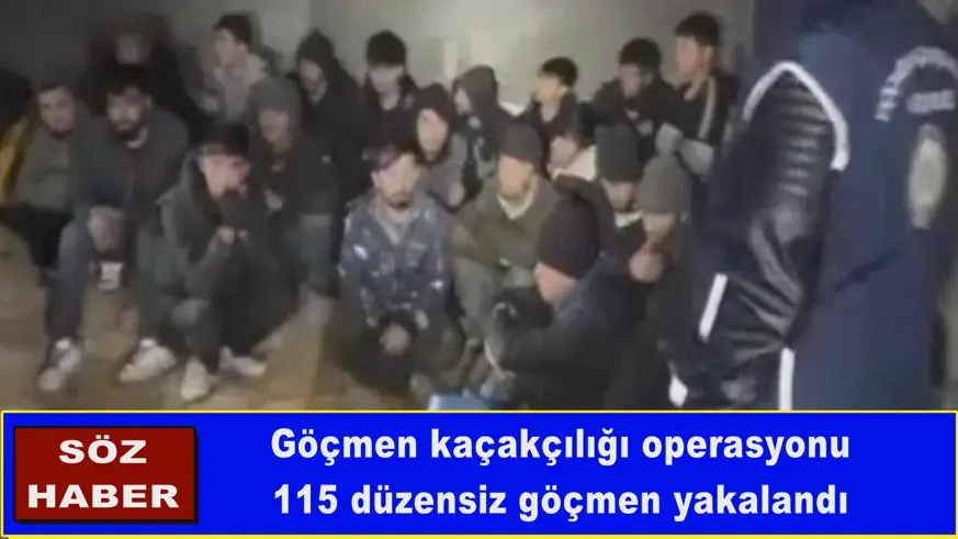 115 düzensiz göçmen yakalandı