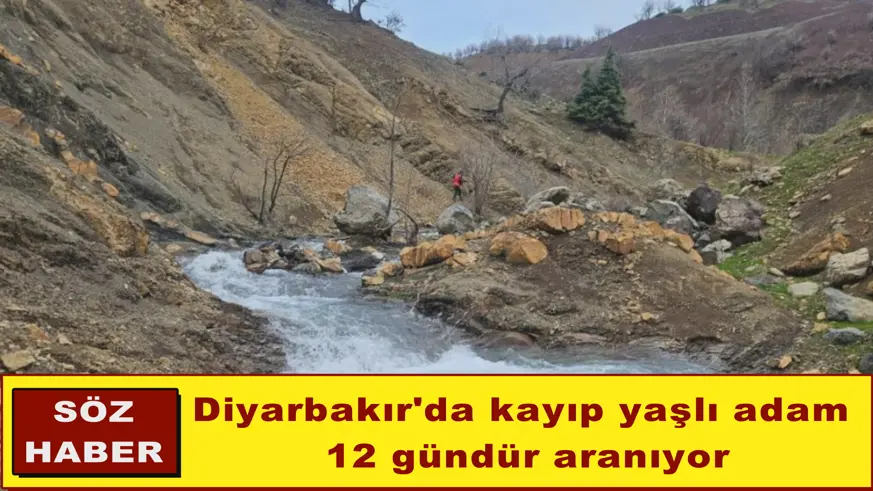 Diyarbakır'da kayıp yaşlı adam  12 gündür aranıyor