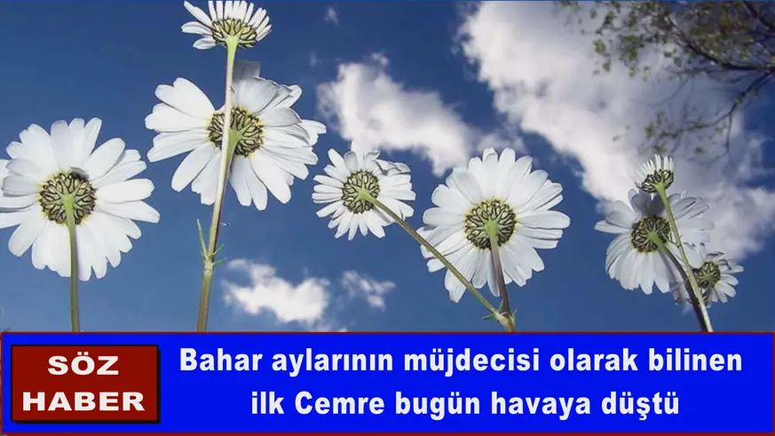 İlk cemre havaya düştü