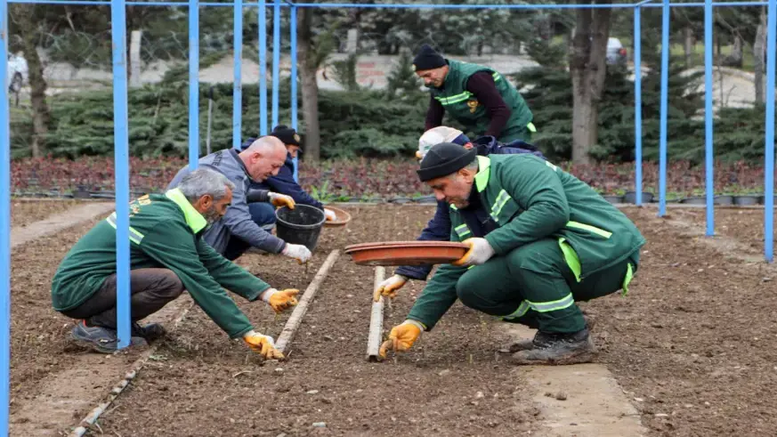 DBB kendi gülünü üretiyor