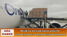 Ocak'ta en çok hava yolu ile yurt dışı yolcu taşımacılığı pahalandı