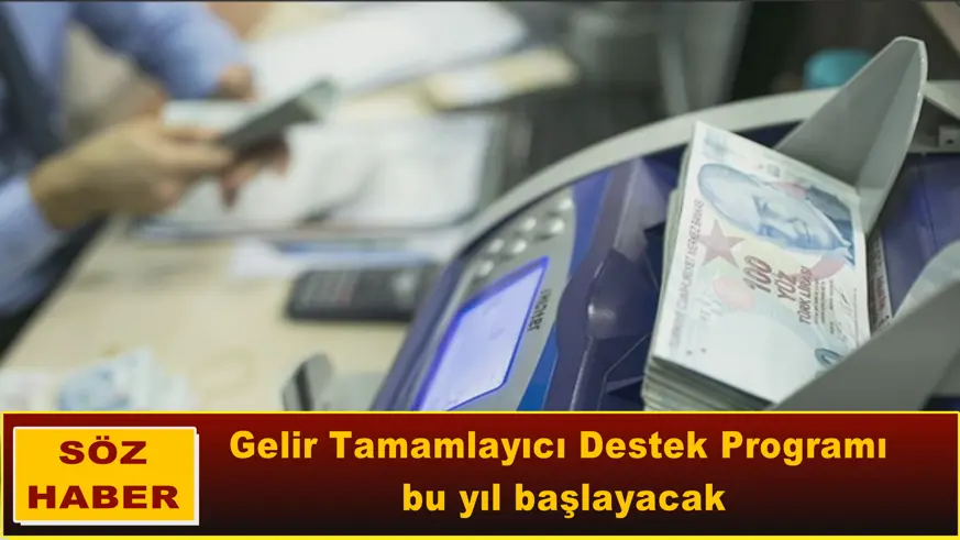 Gelir Tamamlayıcı Destek Programı bu yıl başlayacak