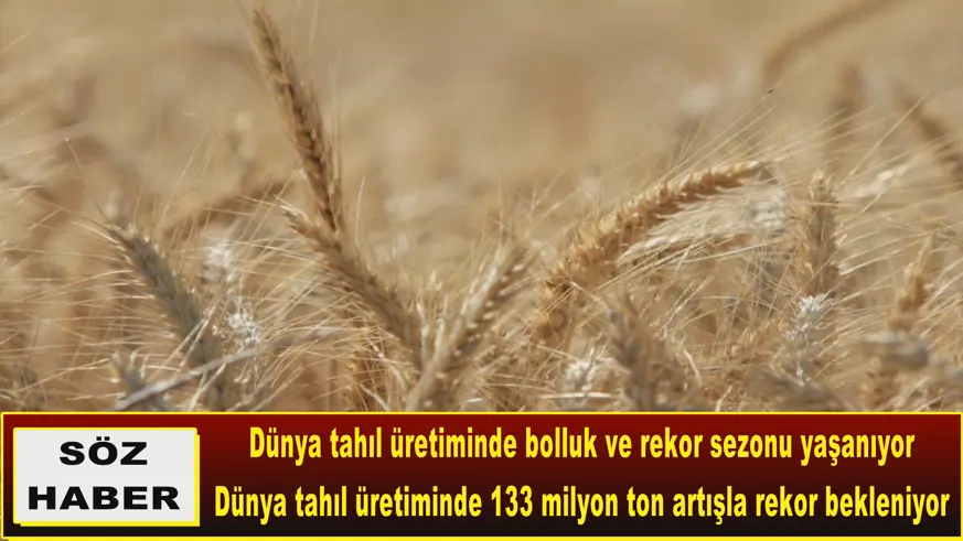 133 milyon ton artışla rekor bekleniyor